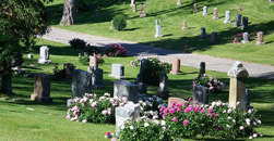 Horne Funeral Home